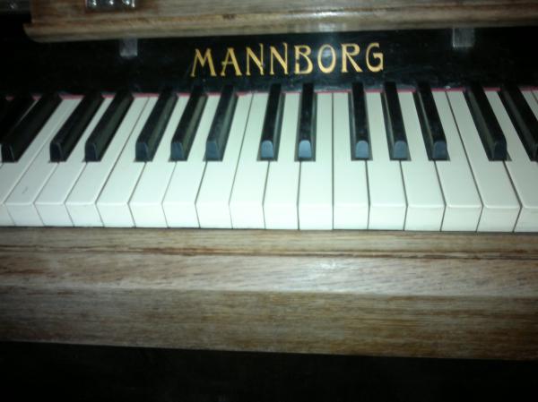 :  Mannborg